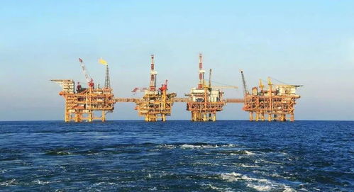 中海油渤海灣新項目投產提速，下半年大項目與高性能混凝土減水劑生產展望